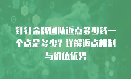 钉钉金牌团队返点多少钱一个点是多少？详解返点机制与价值优势