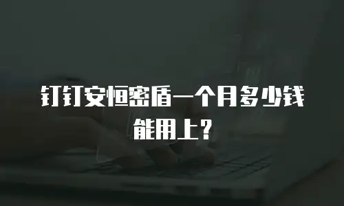 钉钉安恒密盾一个月多少钱能用上？