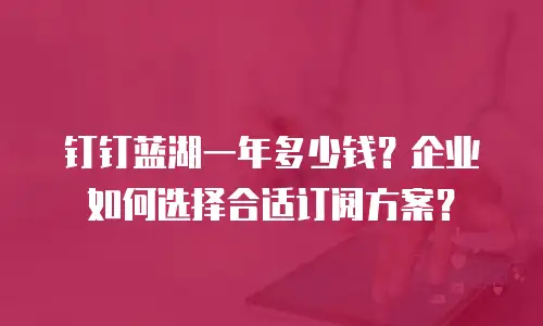 钉钉蓝湖一年多少钱？企业如何选择合适订阅方案？