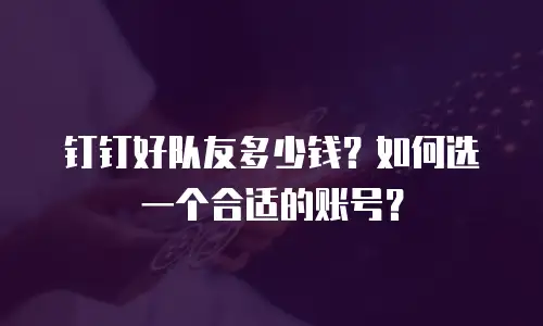 钉钉好队友多少钱？如何选一个合适的账号？