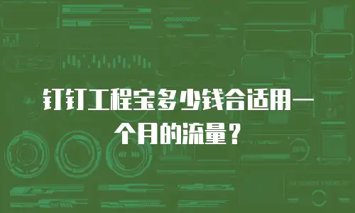 钉钉工程宝多少钱合适用一个月的流量？
