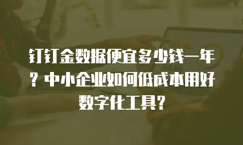 钉钉金数据便宜多少钱一年？中小企业如何低成本用好数字化工具？