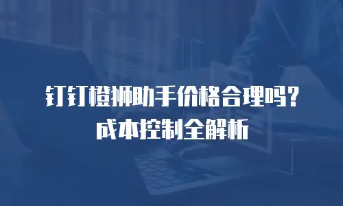 钉钉橙狮助手价格合理吗？成本控制全解析