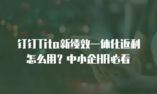 钉钉Tita新绩效一体化返利怎么用？中小企HR必看