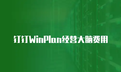 钉钉WinPlan经营大脑费用