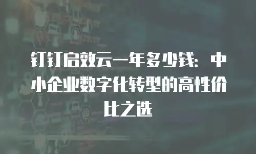 钉钉启效云一年多少钱：中小企业数字化转型的高性价比之选