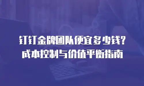 钉钉金牌团队便宜多少钱？成本控制与价值平衡指南