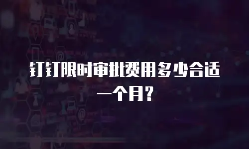 钉钉限时审批费用多少合适一个月？