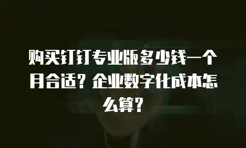 购买钉钉专业版多少钱一个月合适？企业数字化成本怎么算？