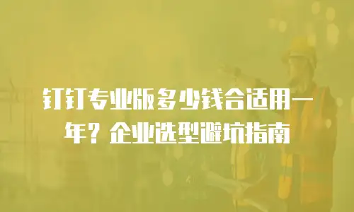 钉钉专业版多少钱合适用一年？企业选型避坑指南