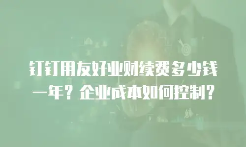 钉钉用友好业财续费多少钱一年？企业成本如何控制？