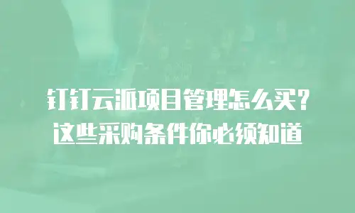 钉钉云派项目管理怎么买？这些采购条件你必须知道