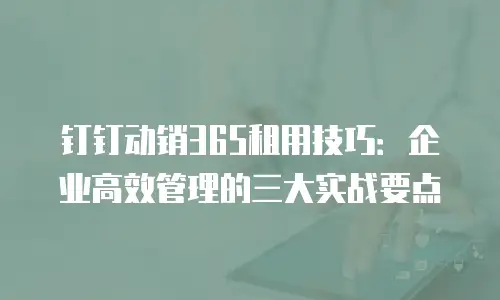 钉钉动销365租用技巧：企业高效管理的三大实战要点