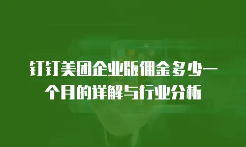 钉钉美团企业版佣金多少一个月的详解与行业分析