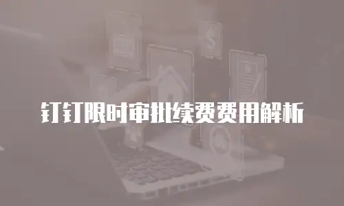 钉钉限时审批续费费用解析