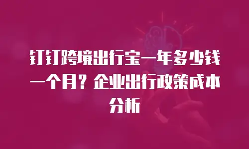 钉钉跨境出行宝一年多少钱一个月？企业出行政策成本分析