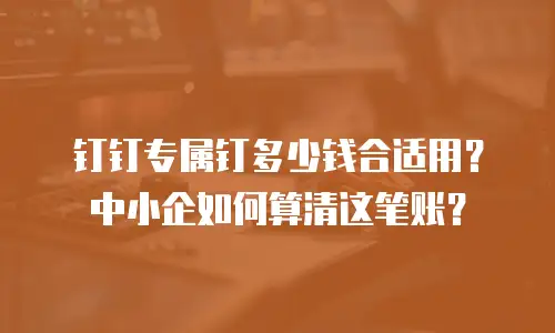 钉钉专属钉多少钱合适用？中小企如何算清这笔账？