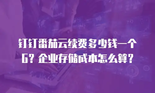 钉钉番茄云续费多少钱一个G？企业存储成本怎么算？