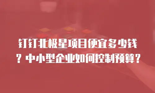 钉钉北极星项目便宜多少钱？中小型企业如何控制预算？