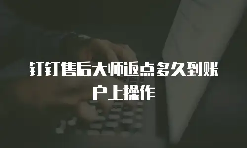 钉钉售后大师返点多久到账户上操作