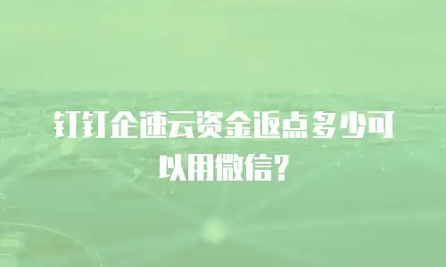 钉钉企速云资金返点多少可以用微信？