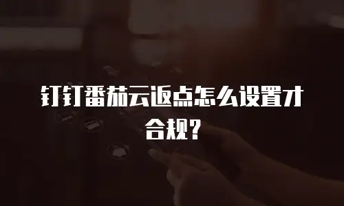 钉钉番茄云返点怎么设置才合规？