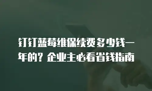 钉钉蓝莓维保续费多少钱一年的？企业主必看省钱指南