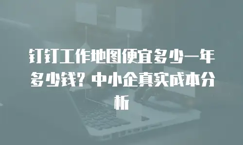 钉钉工作地图便宜多少一年多少钱？中小企真实成本分析