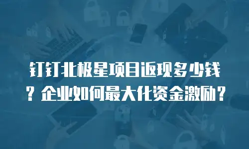 钉钉北极星项目返现多少钱？企业如何最大化资金激励？