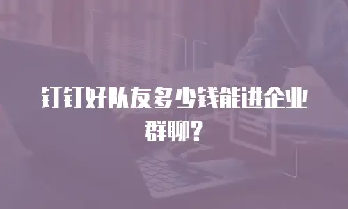 钉钉好队友多少钱能进企业群聊？