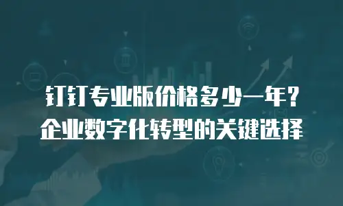 钉钉专业版价格多少一年？企业数字化转型的关键选择