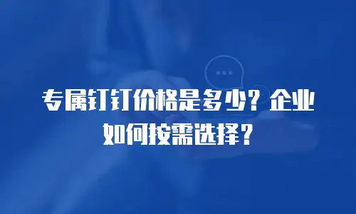 专属钉钉价格是多少？企业如何按需选择？