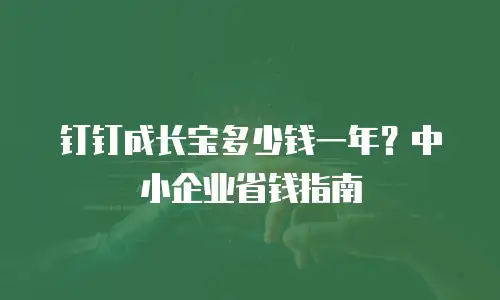 钉钉成长宝多少钱一年？中小企业省钱指南