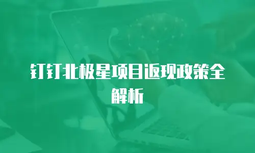 钉钉北极星项目返现政策全解析