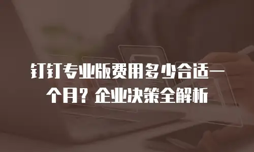 钉钉专业版费用多少合适一个月？企业决策全解析