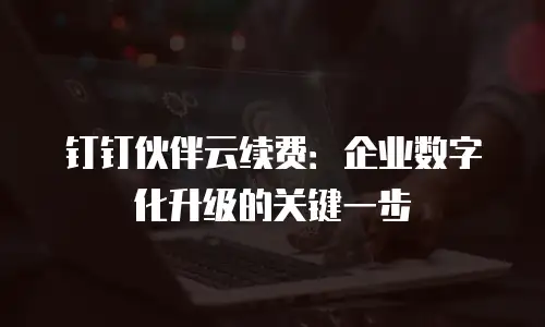 钉钉伙伴云续费：企业数字化升级的关键一步