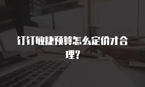 钉钉敏捷预算怎么定价才合理？
