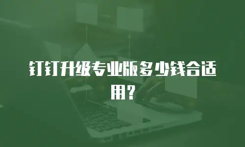 钉钉升级专业版多少钱合适用？