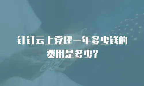 钉钉云上党建一年多少钱的费用是多少？