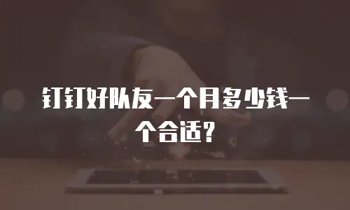 钉钉好队友一个月多少钱一个合适？