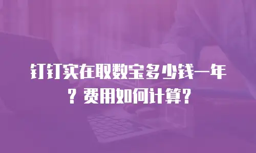 钉钉实在取数宝多少钱一年？费用如何计算？
