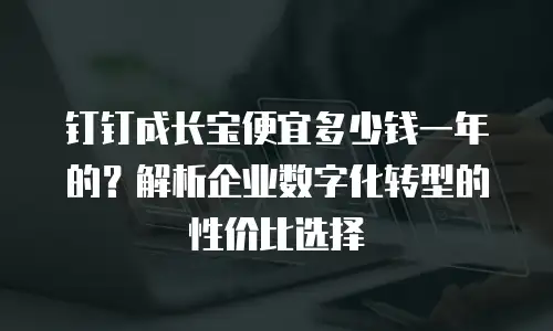 钉钉成长宝便宜多少钱一年的？解析企业数字化转型的性价比选择
