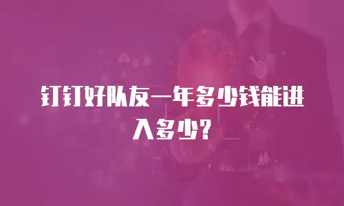 钉钉好队友一年多少钱能进入多少？