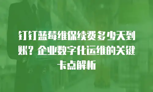 钉钉蓝莓维保续费多少天到账？企业数字化运维的关键卡点解析