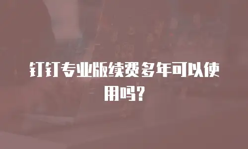 钉钉专业版续费多年可以使用吗？