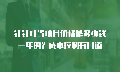 钉钉叮当项目价格是多少钱一年的？成本控制有门道