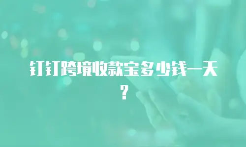 钉钉跨境收款宝多少钱一天？