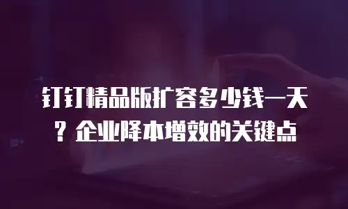 钉钉精品版扩容多少钱一天？企业降本增效的关键点