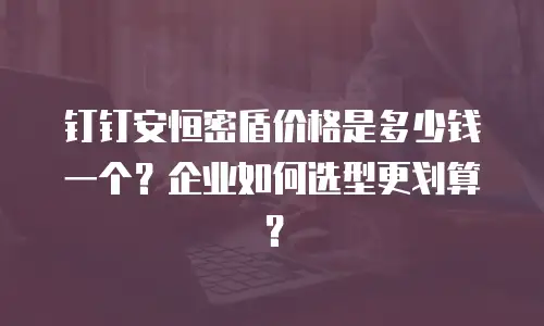 钉钉安恒密盾价格是多少钱一个？企业如何选型更划算？