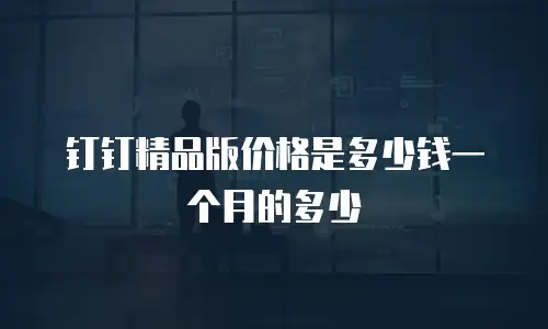 钉钉精品版价格是多少钱一个月的多少